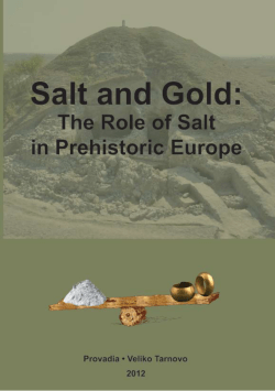 Salz und Gold: die Rolle des Salzes im
