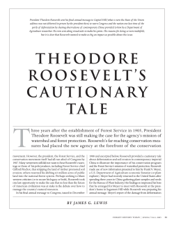 Theodore Roosevelt`s Cautionary Tale
