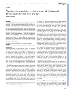 Circadian clock-mediated control of stem cell division and
