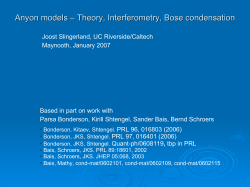 Anyon models &ndash; Theory, Interferometry, Bose condensation