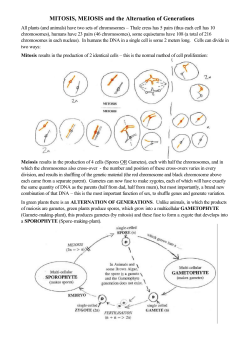 MITOSIS, MEIOSIS and the Alternation of Generations