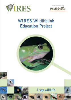 please (2mb file) our comprehensive education kit