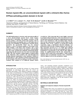 Human myosin-IXb, an unconventional myosin with a chimerin