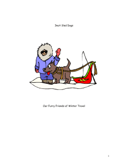 Inuit Sled Dogs - The Wilderness Classroom