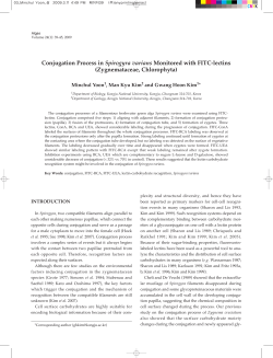 Conjugation Process in Spirogyra varians Monitored with