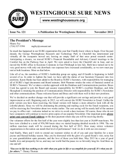 Novem - Westinghouse SURE Logo