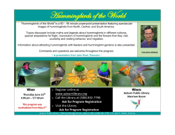 Hummingbirds of the World