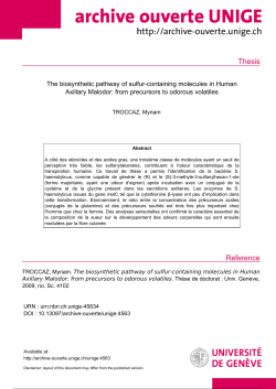 The biosynthetic pathway of sulfur-containing molecules in Human