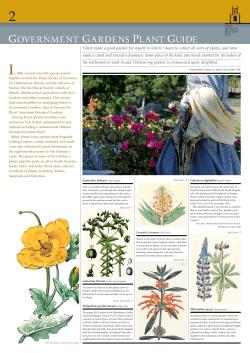 Plant Guide 2 of 2 - Port Arthur Historic Site