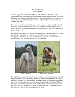Hound Group - Halifax Kennel Club
