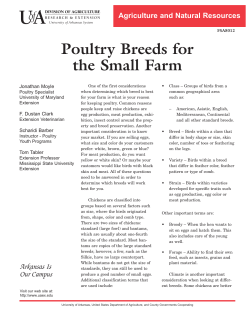 Poultry Breeds for the Small Farm - FSA8012