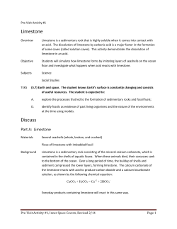 Limestone - Inner Space Cavern