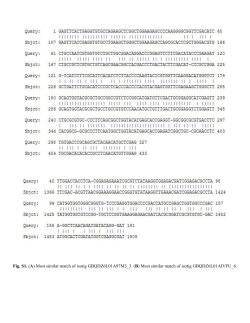 Fig. S1. (A) Most similar match of isotig GBQDZ6L01A97M3_3. (B