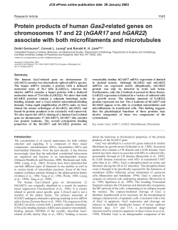 Protein products of human Gas2-related genes on chromosomes 17