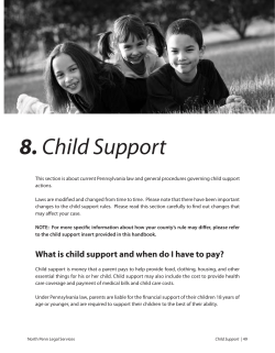 8. Child Support