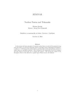 SEMINAR Nuclear Fusion and Tokamaks