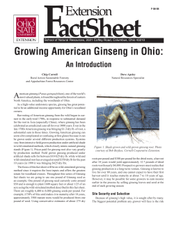 Growing American Ginseng in Ohio