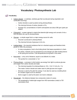Photosynthesis Lab Vocabulary
