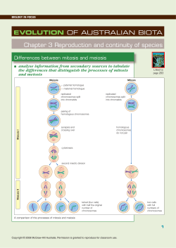 1.6.1b Differences between mitosis and meiosis flow