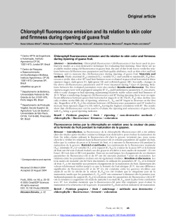 Chlorophyll fluorescence emission and its relation
