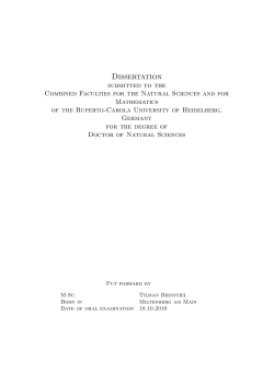 PDF - Til Birnstiel