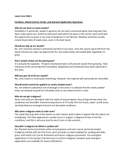 Lawn Care FAQ`s - Hampshire Farm Landscaping