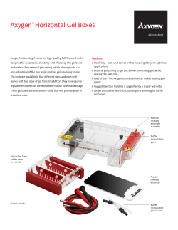 Axygen&reg; Horizontal Gel Boxes