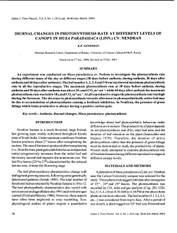 DIURNAL CHANGES IN PHOTOSYNTHESIS RATE AT DIFFERENT