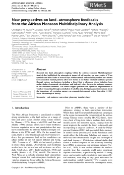 New perspectives on landatmosphere feedbacks from the African