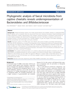 Phylogenetic analysis of faecal microbiota from captive cheetahs