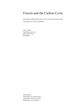 Forests and the Carbon Cycle