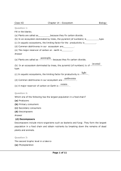 Class XII Chapter 14 – Ecosystem Biology Page 1 of