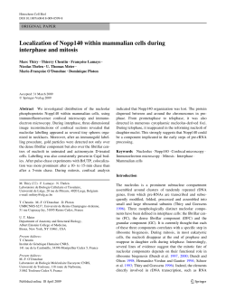Localization of Nopp140 within mammalian cells during interphase