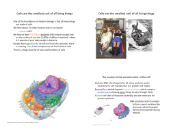 Cells are the smallest unit of all living things Cells are the smallest