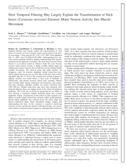 Slow Temporal Filtering May Largely Explain the Transformation of