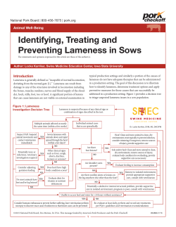 Identifying, Treating and Preventing Lameness in