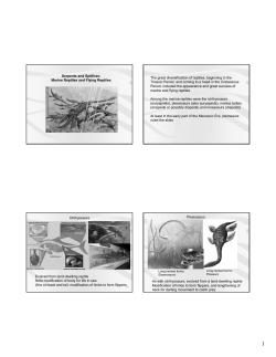 Serpents and Spitfires: Marine Reptiles and Flying Reptiles The