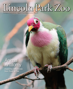 Animal Anatomy - Lincoln Park Zoo