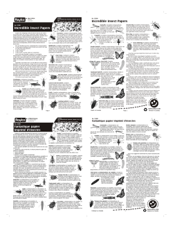 15300 Incredible Insect Paper Guide