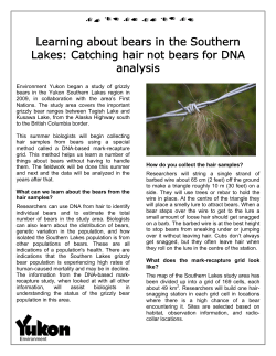 Learning about bears in the Southern Lakes: Catching hair not