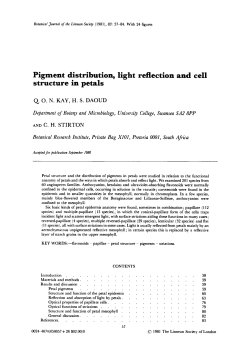 Pigment distribution, light reflection and cell structure in petals