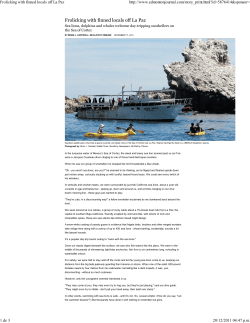 Frolicking with finned locals off La Paz