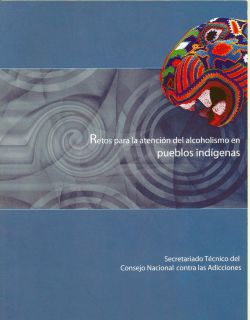 Retos para la atenci&oacute;n del alcoholismo en pueblos