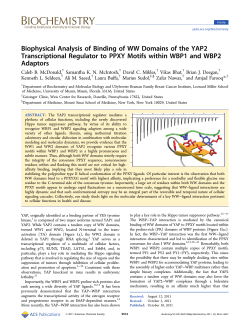 Biophysical Analysis of Binding of WW Domains of the YAP2