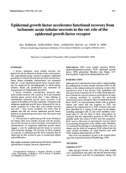 Epidermal growth factor accelerates functional