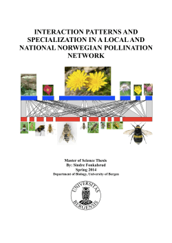 INTERACTION PATTERNS AND SPECIALIZATION IN A LOCAL