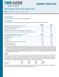 Summary Prospectus - Third Avenue Management