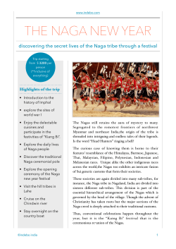THE NAGA NEW YEAR