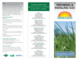 Instructions for Installing Sod