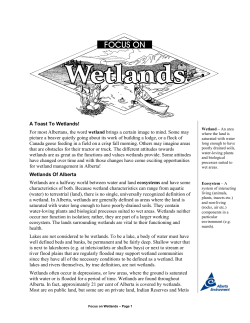 Alberta Environment Wetlands Fact Sheet
